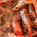 Spot Prawns (Whole) - Washington
