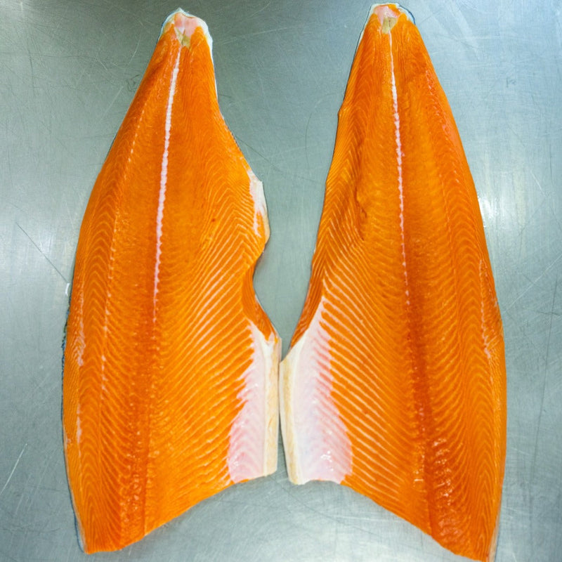 Wild King Salmon - Oregon