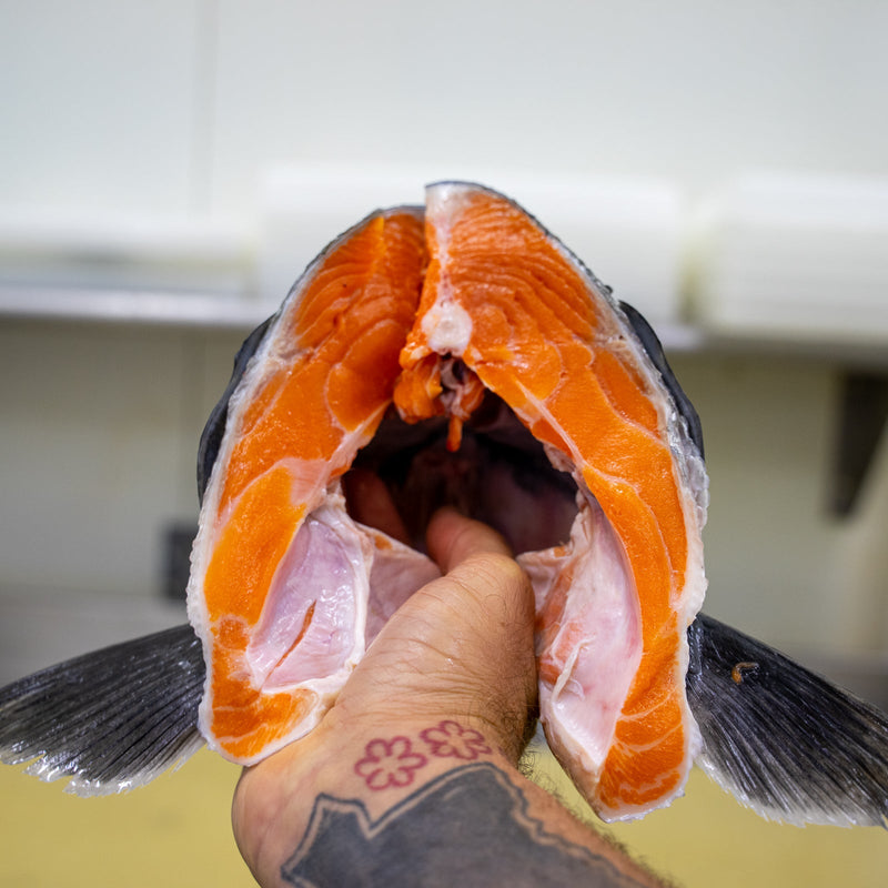 Whole Wild King Salmon - Oregon