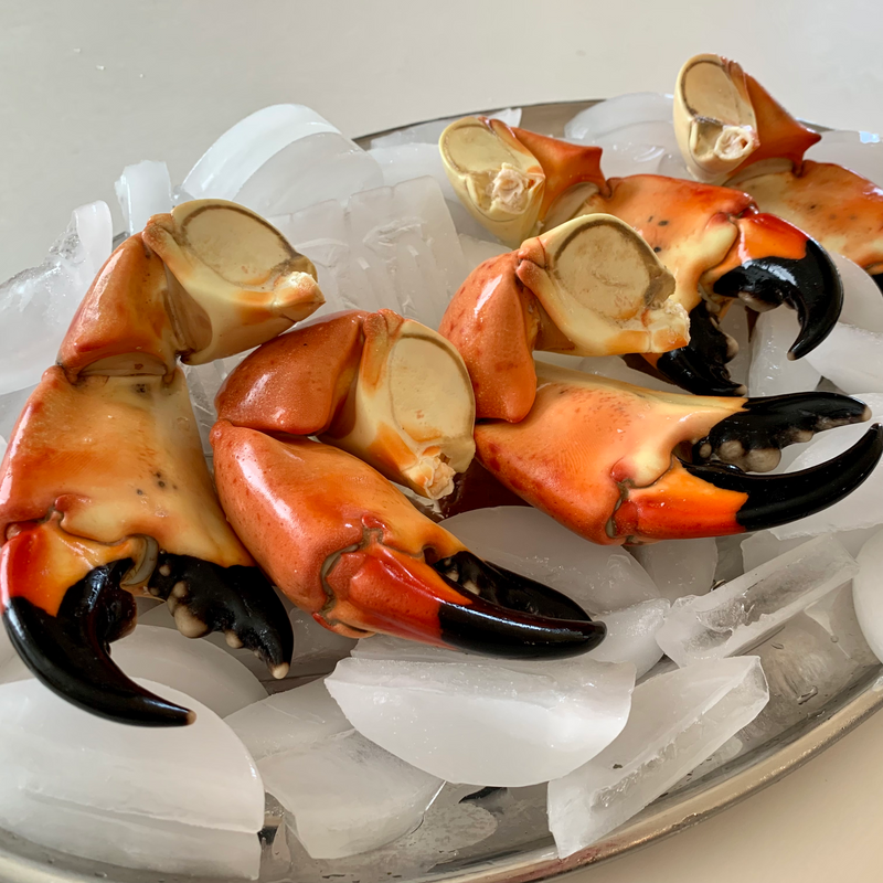 Stone Crab Claws - Thanksgiving Pre-Order