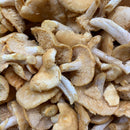 Fresh Wild Hedgehog Mushrooms - X-MAS Pre-Order