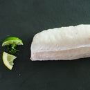 The Catch of the Day