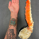 Red King Crab Merus (Center Cut)