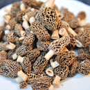 Fresh Wild Morels - USA