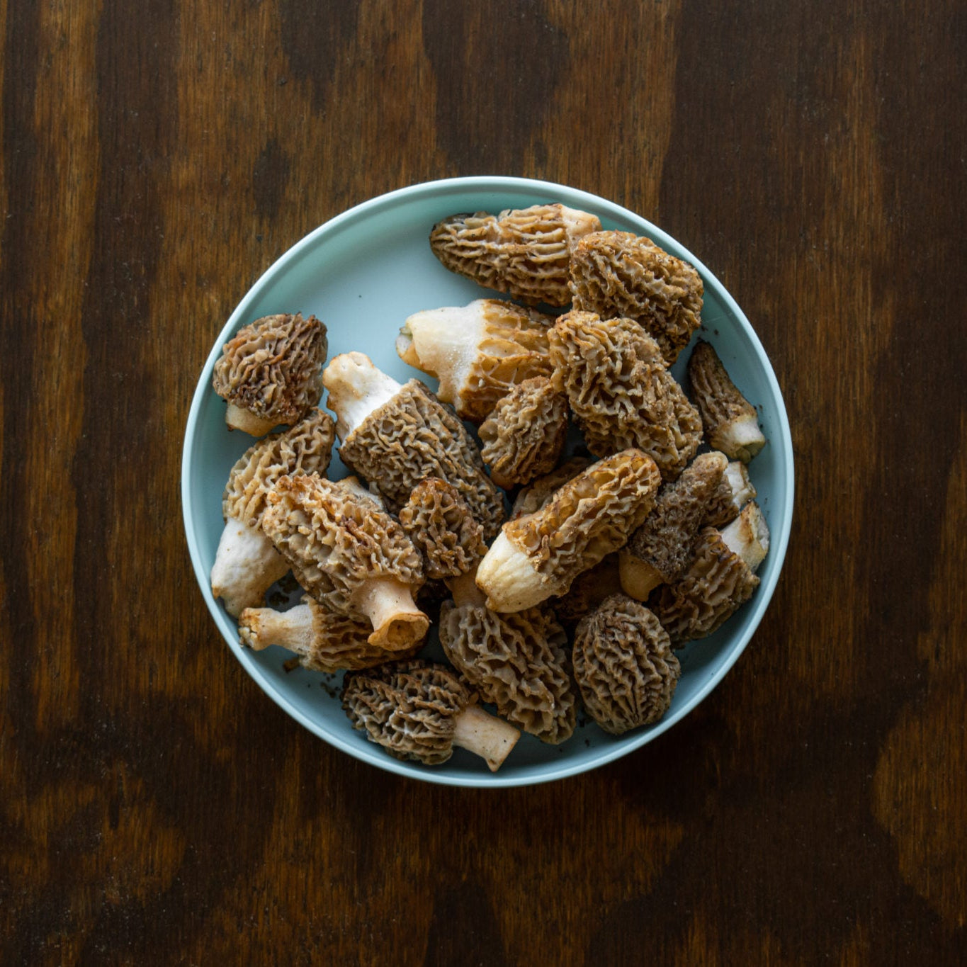 Fresh Wild Morel Mushrooms (USA) | Foraged & Seasonal
