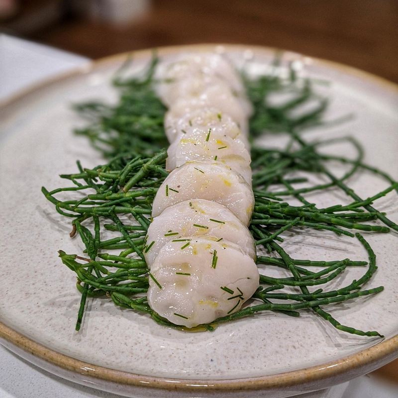 Sea Scallops - Maine