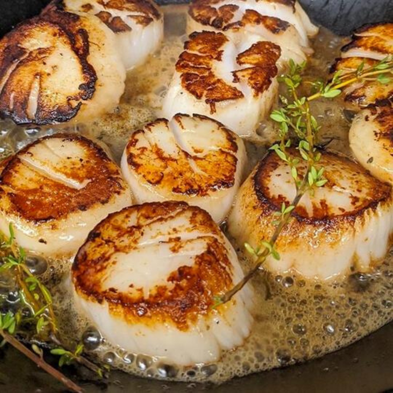 Sea Scallops - Maine