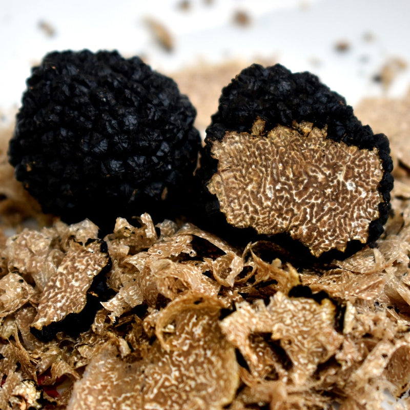 Fresh Burgundy Truffles - France