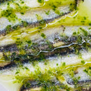 Anchovies - Northern California