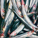 Anchovies - Northern California