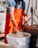 Dungeness Crab Live - Northern California
