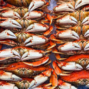 Dungeness Crab Live - Northern California