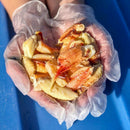 Dungeness Crab Live - Northern California