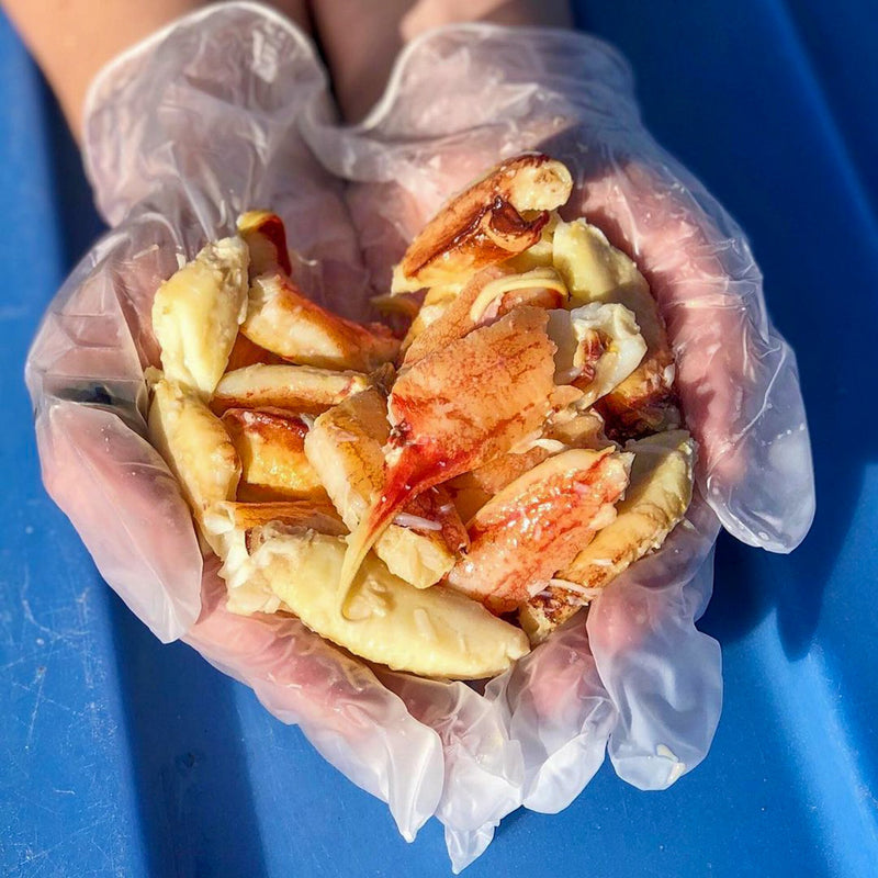 Dungeness Crab Live - Mother's Day Pre-Order