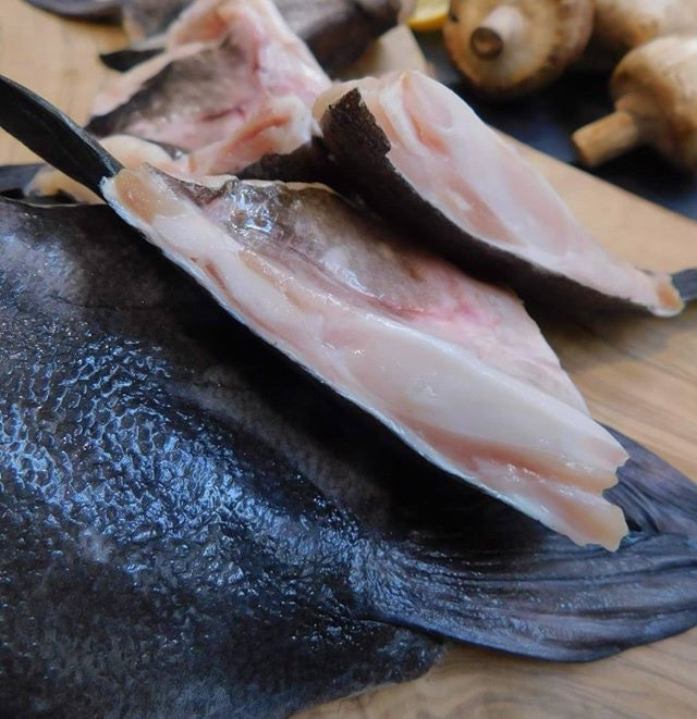 Fresh Pacific Black Cod - Buy Black Cod Online | E-Fish.com