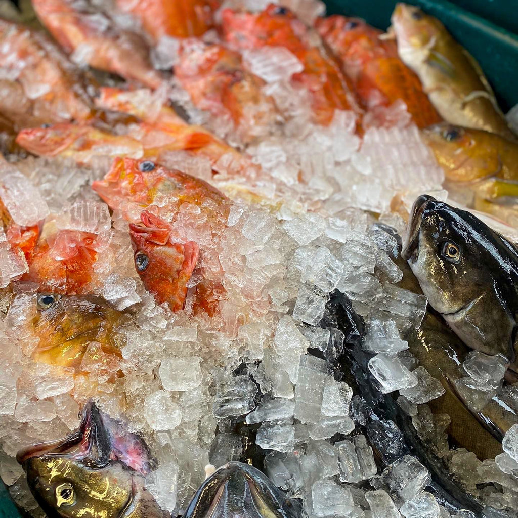 Fresh Pacific Black Cod - Buy Black Cod Online | E-Fish.com