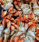 Live Dungeness Crab