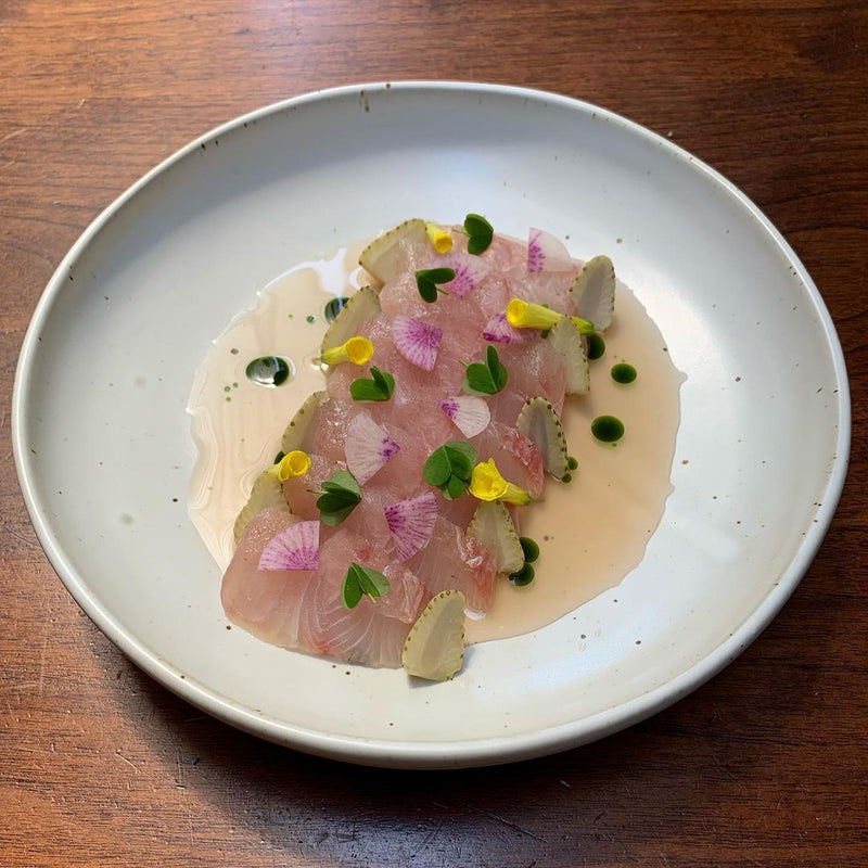 California Halibut - Labor day Pre-Order