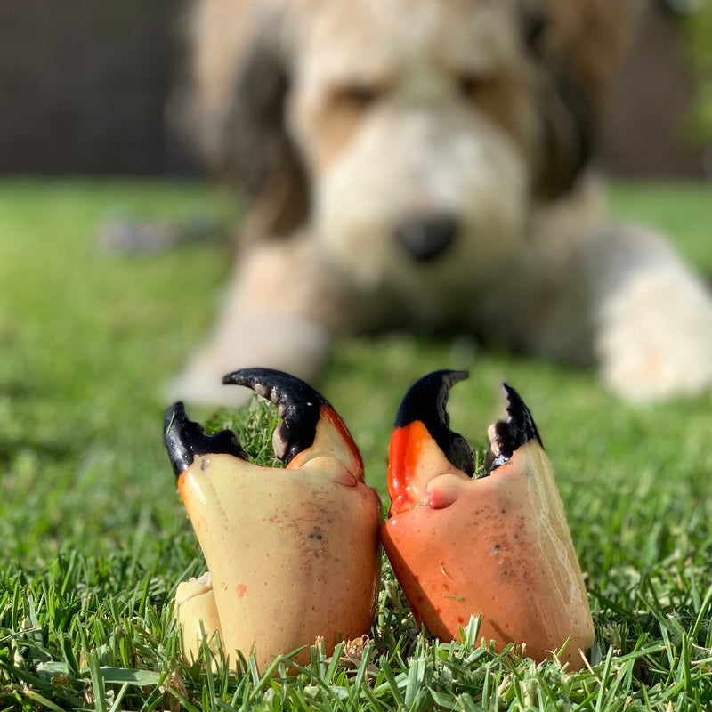 Stone Crab Claws - Florida