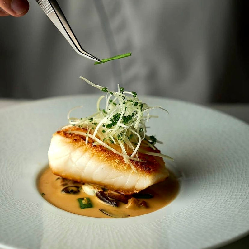 Halibut - Canada