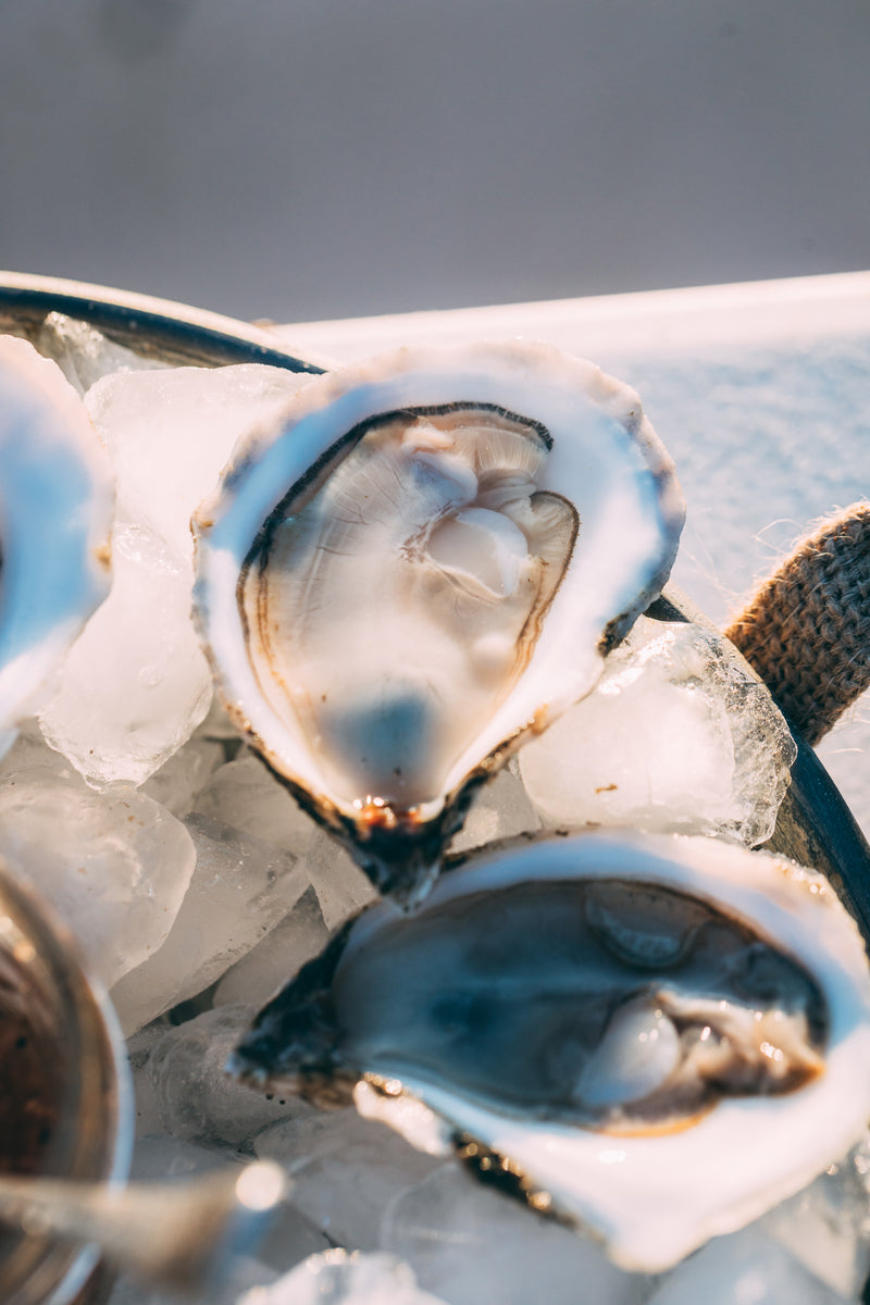 Oyster Starter Pack - Love Point Oysters