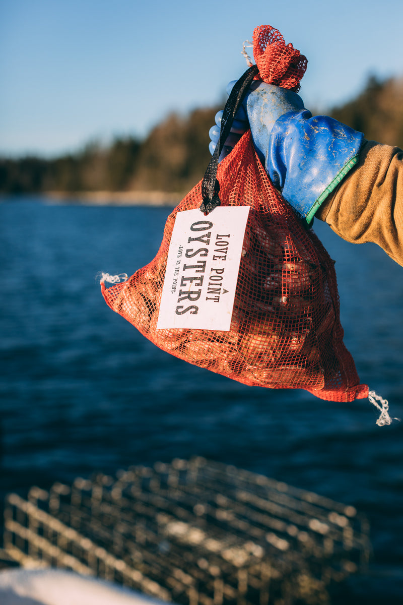 Oyster Starter Pack - Love Point Oysters