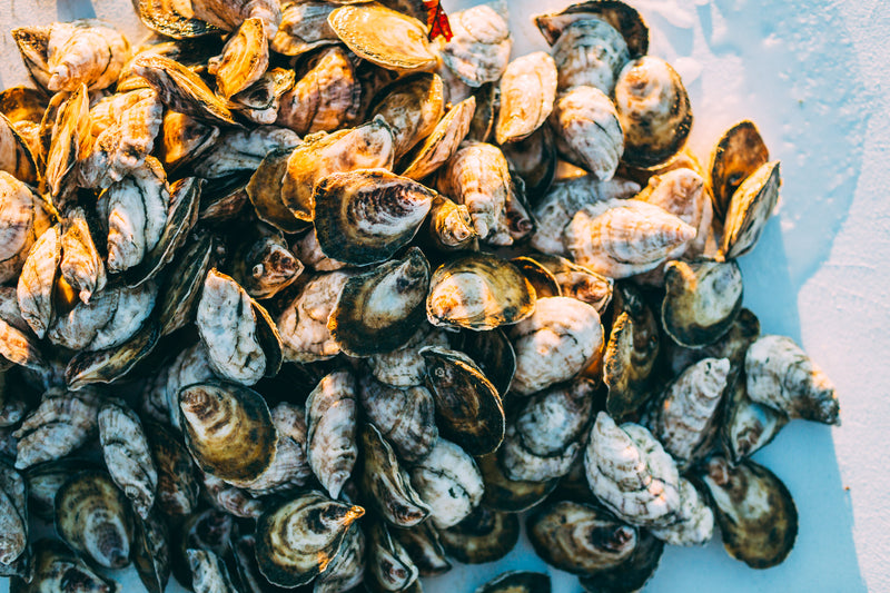 Oyster Starter Pack - Love Point Oysters