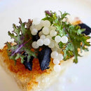 Escargot Complete Package