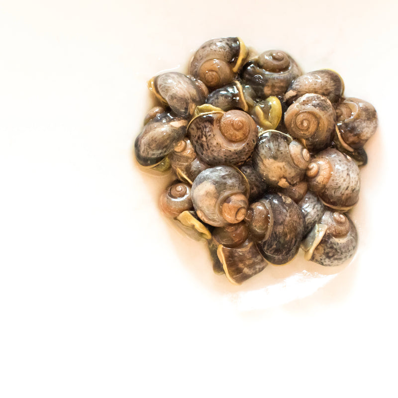 Peconic Escargot - Fresh Shelled