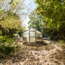 Escargot Complete Package