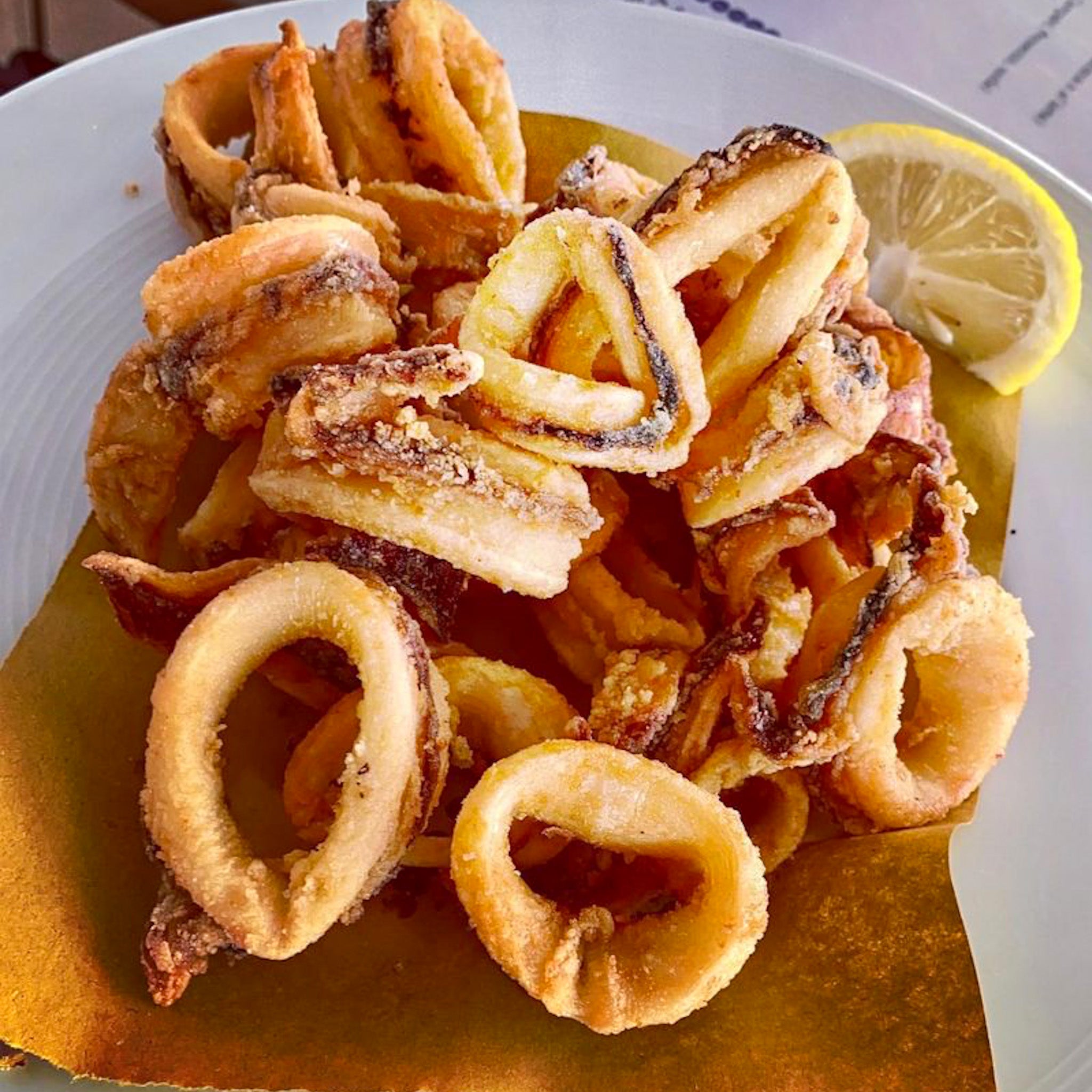 Squid - Northern California