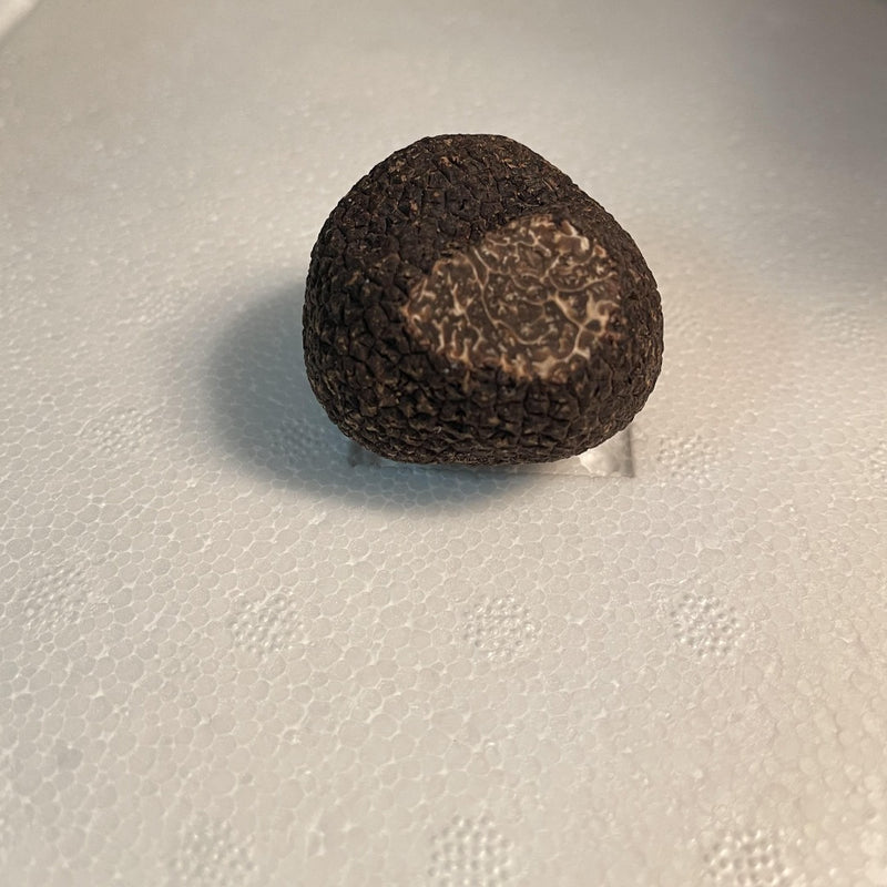 Fresh Burgundy Truffles - France
