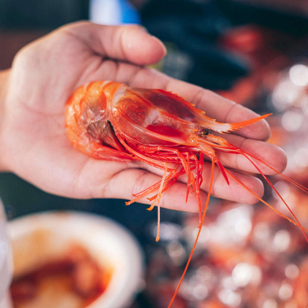 Fresh Kauai Shrimp - Buy Fresh Shrimp | E-Fish.com