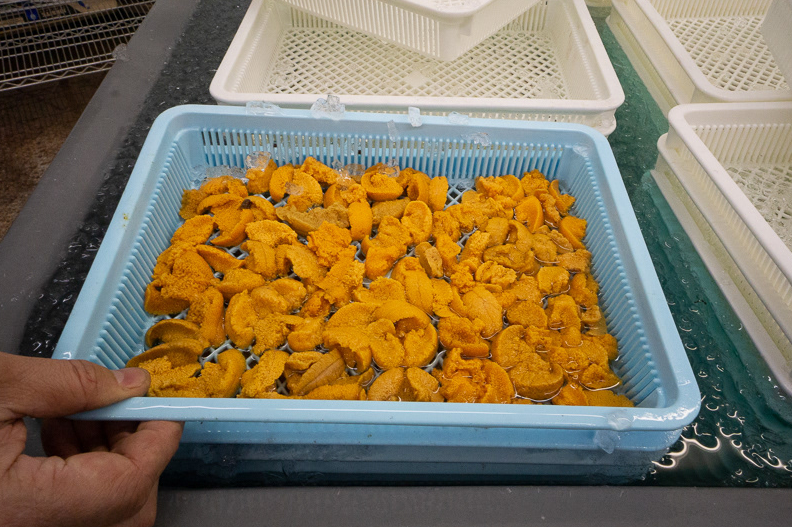 Northeast Bafun Uni (Ensui) - Mother's Day Pre-Order