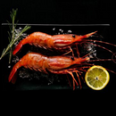 Spot Prawns (Whole) - Southern California