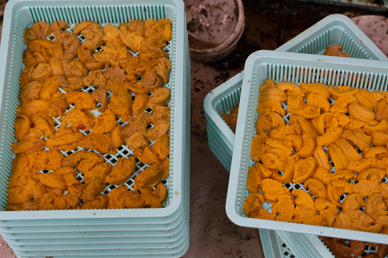 Northeast Bafun Uni (Ensui) - Mother's Day Pre-Order