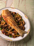 Catch of the Day Bundle