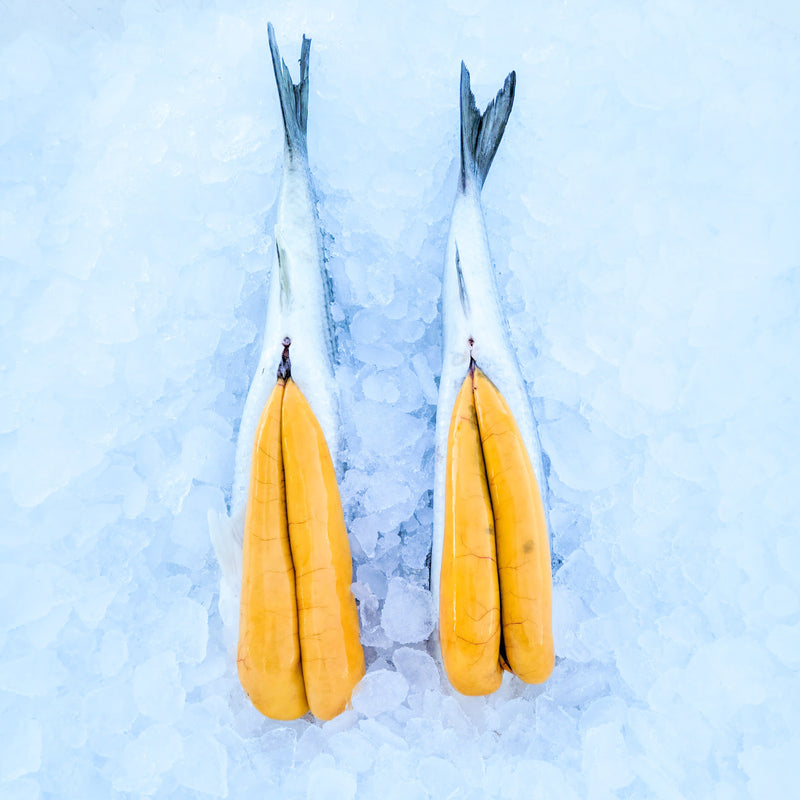 Fresh Cod Roe Season Fresh Florida Mullet Roe - Buy Fresh Mullet Roe | E-Fish.com