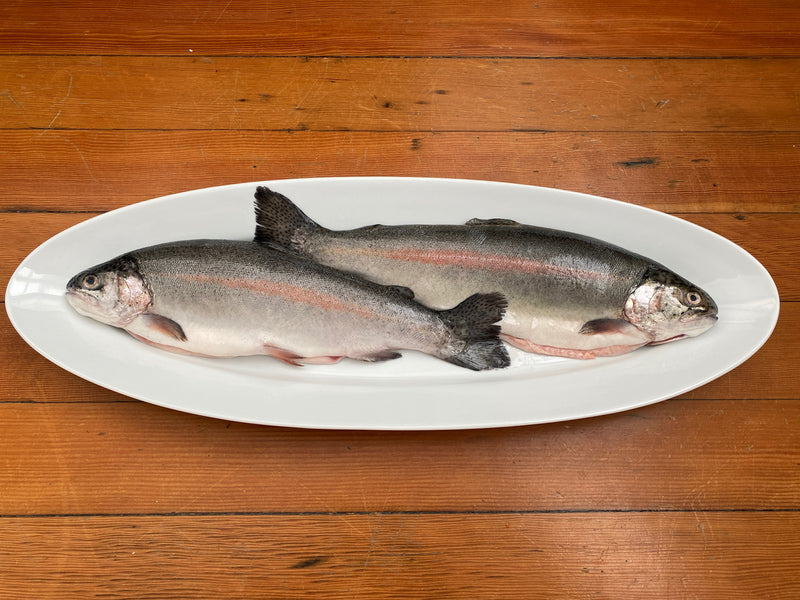 Mt Lassen Trout Whole California mt-lassen-trout-whole-california